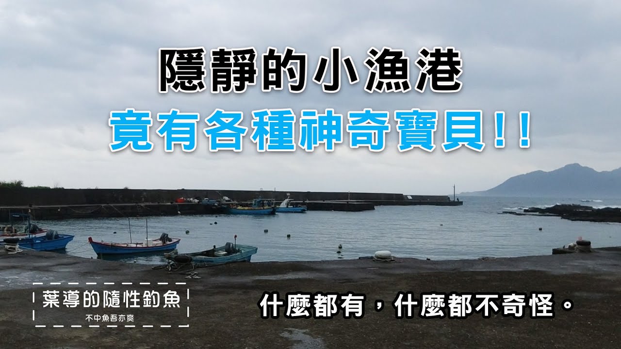 隱靜的小漁港竟有各種神奇寶貝 / 什麼都有什麼都不奇怪的小漁港 / 超適合釣手竿的地方 / 看海吹風的神秘小漁港