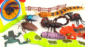 Various All Monster