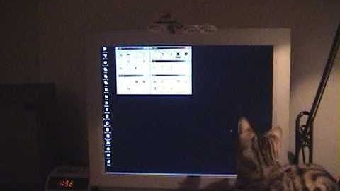 Bengal Cat and Mouse Cursor