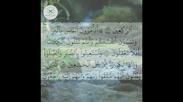 سورة البقرة  الشيخ محمد الفقيه  #اكسبلور #forupage #تيك_توك #دويتو  #love #quran #beautiful #peace