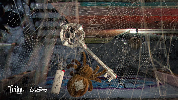 Dona Aranha 🗝️ Tribo da Periferia (6º Último)