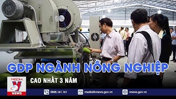 GDP ngành nông nghiệp cao nhất 3 năm – VNEWS