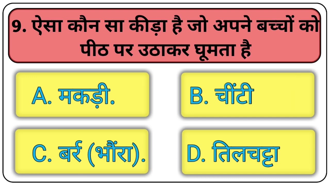 Gk Questions ||Gk Top 10 🔥Gk In Hindi || Gk sawal || Gk Questions and answer || quiz wale Bhai 