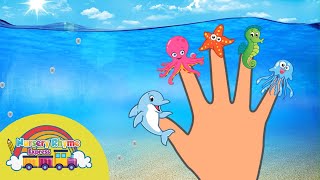 SEA ANIMAL FINGER FAMILY 🎵 FUN Kids Nursery Rhyme 🎵 Children Songs #NurseryRhymeExpress #NRE