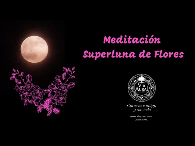 Meditación de Luna de Flores