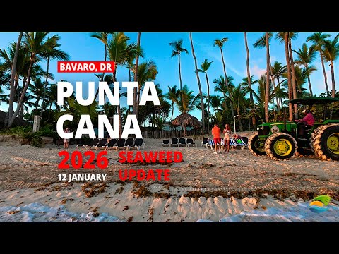 Ocean Temp Punta Cana