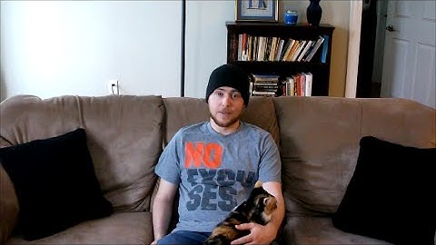 Direct Activism vs. Informative Action - Which is Better?