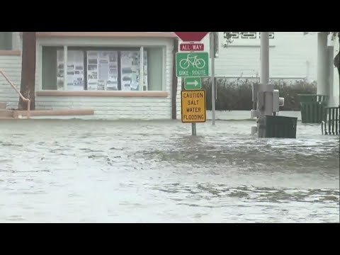 Hurricane Idalia made landfall in Florida as strong Category 3 storm, causing damage