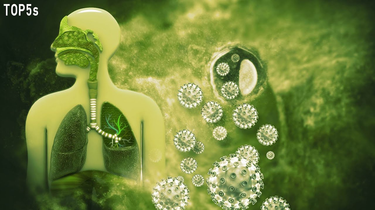 Coronavirus: 5 Important Facts, Symptoms & Stats About COVID-19...