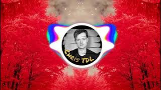 Chris TDL Radio | Vidya Vidya - Safari Fruits