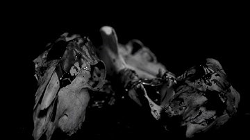 Cloak - The Hunger (official music video)