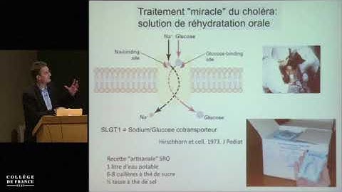 Traitement miracle du Choléra, Collège de France.