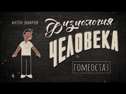 1. Гомеостаз. Физиология человека - 8 класс