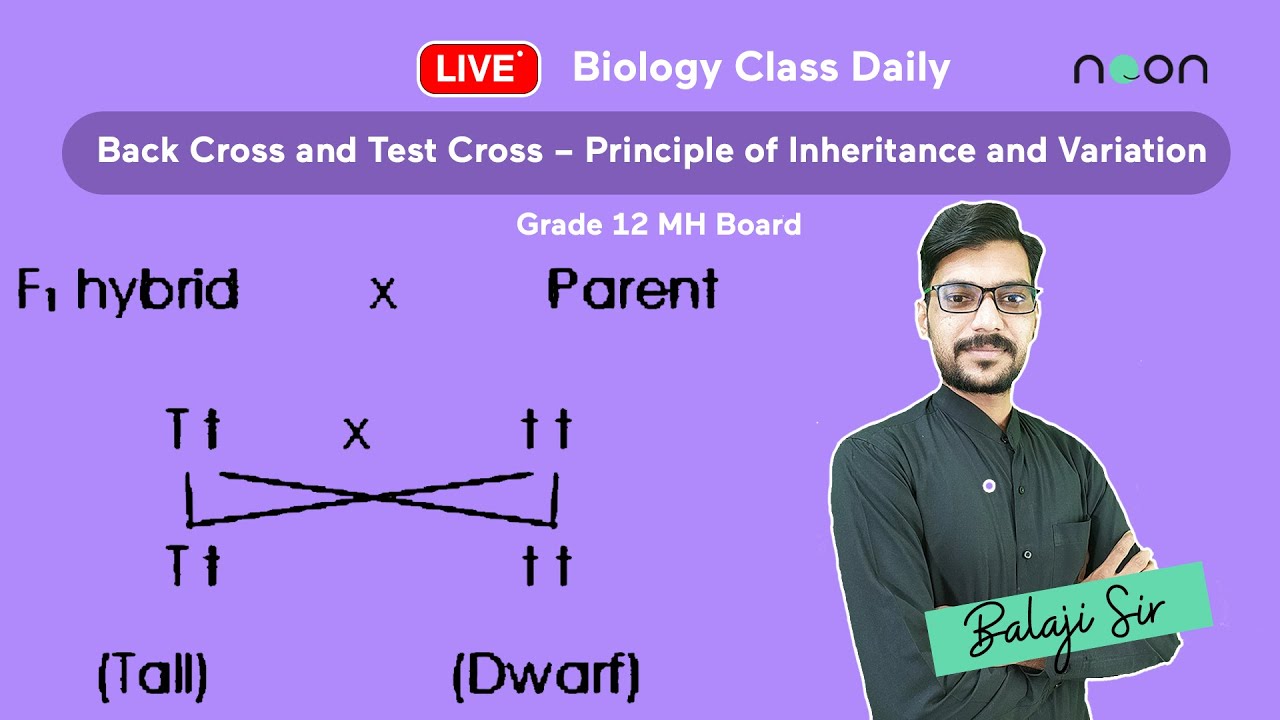 Back Cross And Test Cross Principle Of Inheritance And Variation back-cross-and-test-cross-principle-of-inheritance-and-variation