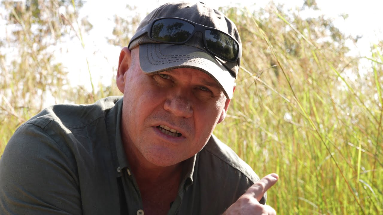 Tracking Wildlife: Baboons