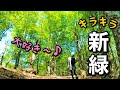 【登山】どこまでも新緑🌿輝く世界に心もリフレッシュ♪