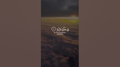 جمال صوت تالة الخليل بتلاوة القرآن✨✨ #اكسبلور#اكسبلور_explore #اكسبلورر #اكسبلورفولو #اكسبلورexplore