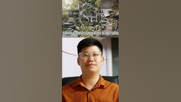 Cảnh quan sân vườn nhật bản - khoá học phần mềm cảnh quan #canhquan #design