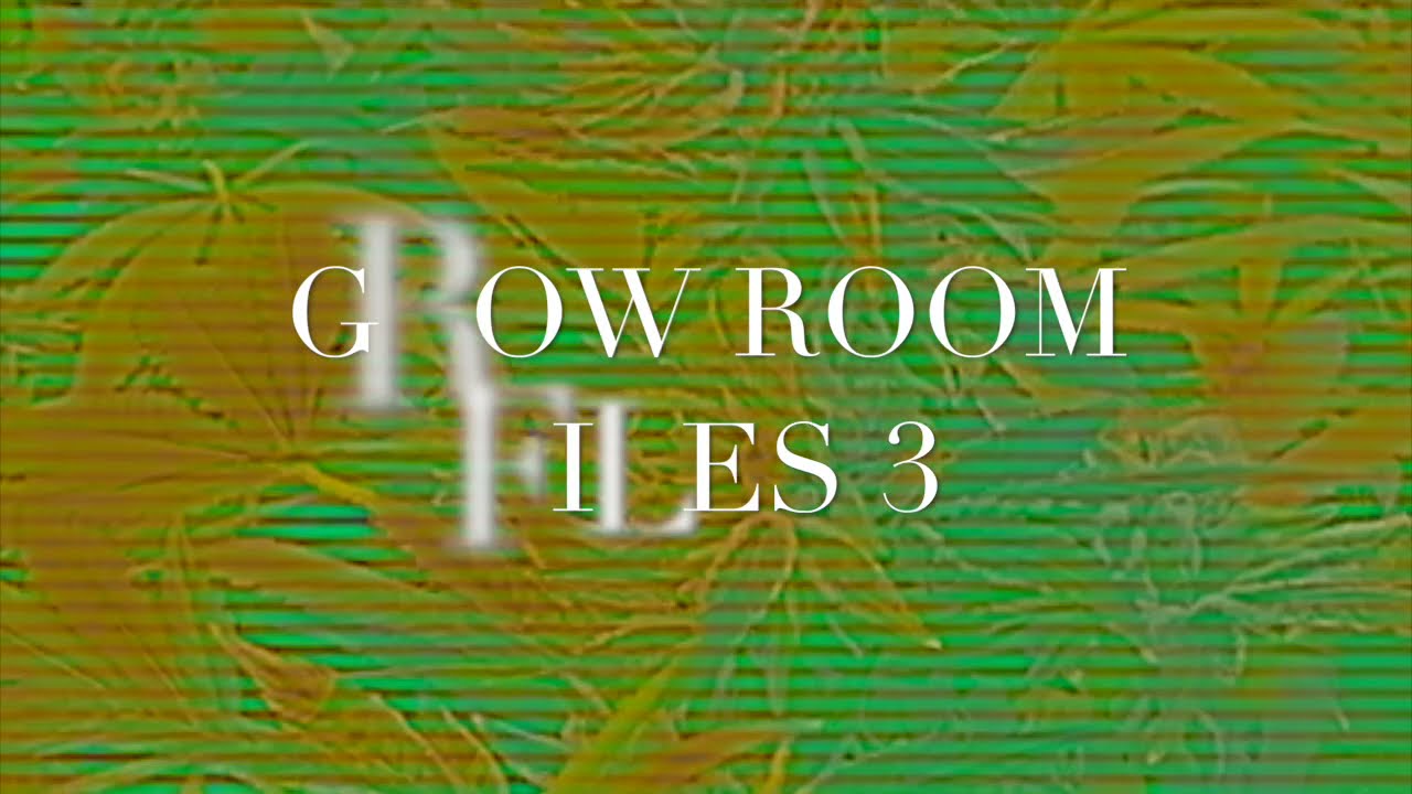Grow Room Files 3