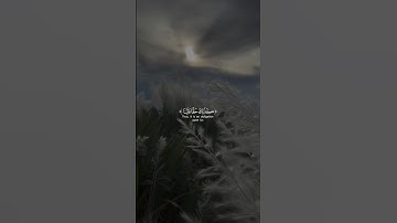 كَذلِكَ حَقًّا عَلَينا نُنجِ المُؤمِنينَ | سورة يونس | القارئ عبدالرحمن مسعدر #حالات_واتس #المصحف