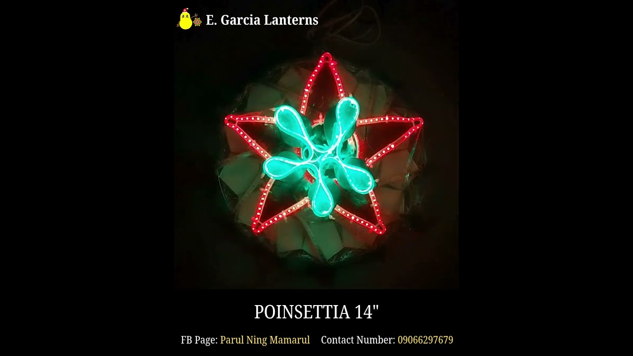 Poinsettia Flat Ring Capiz Lantern Video Collection