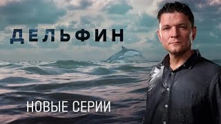 Сериал «Дельфин-3» Новый Сезон На Нтв. Анонс 2024