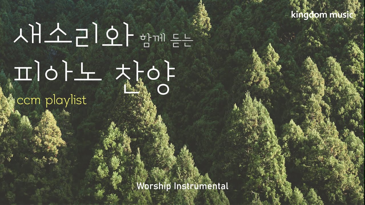 [CCM Playlist] 새소리와 함께 듣는 피아노 찬양🌳| CCM 피아노 연주 | 기도음악 | 묵상음악 | 잠 잘 때 듣는 ...