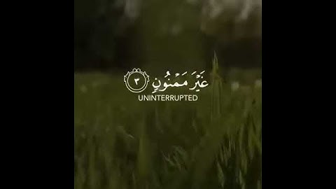 سوره القلم بصوت جميل ☘️:Surah Al-Qalam with a beautiful voice✨🕌