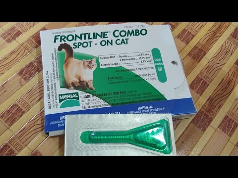 Video: Frontline Top Spot - Daftar Obat Dan Resep Hewan Peliharaan, Anjing Dan Kucing