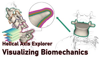 HAExplorer - Understanding Interdependent Biomechanical Motions with Interactive Helical Axes