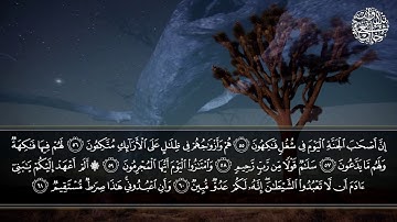 سورة يس | القارئ عبدالله العبداللطيف | تلاوات خاشعة HD