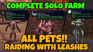 Solo Farm ALL Raiding With Leashes I & II Pets EXPLAINED (Hunter PoV) [MoP Classic]
