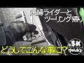 【モトブログ】帰り道に起きたトラブル!GSX125に乗ってみた!軽いし、面白い!夫婦ライダーとの会話は楽しいぞ!帰れないまめ。なんだかついてない…広島motovlogオートバイ昨年12月撮影