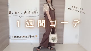 しいねちゃんさまおまとめ品　サマンサモス コーデ３セット 未使用❗サマンサモスモス 夏コーデ 3点セット ブラウス