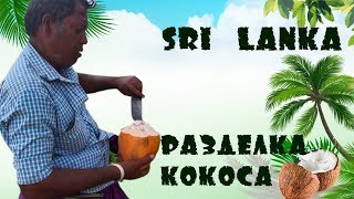 Как разделать кокос?#SriLanka
