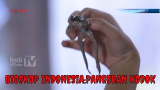 FILM INDONESIA 2023 : PANGERAN KODOK