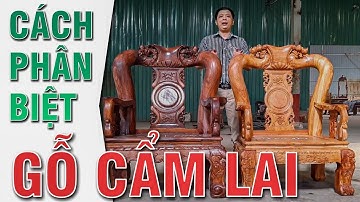 Cách phân biệt và nhận biết các loại gỗ cẩm lai, bạn cần biết để không mua nhầm