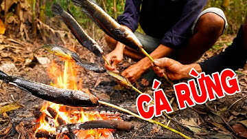 Câu Cá Rô, Nhấp Cá Lóc Nướng Chui Giữa Rừng