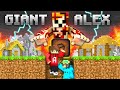 How i defeated giant alex in my minecraft smp server