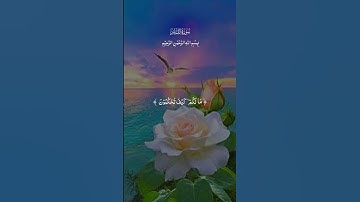 سورة القلم#ماهر_المعيقلي #القرآن_الكريم #دويتو #اكسبلور #حالات_واتس #السعودية_الكويت_الامارات_قطر_