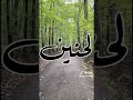 قصة الحب عما قصة الحب عما