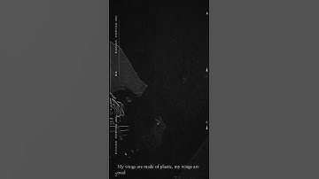 Thumbnail of Plastic (Moses Sumney Cover.)