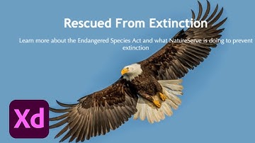 Web Experience Redesign with Erica Cotten - 3 of 3 | Adobe Creative Cloud