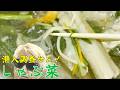 潜入調査！しゃぶ菜の肉はどうなった？の巻