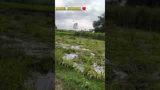 #phonkmusic #music #anime #avee_player #travel #phonk #pianomusic #nature #tereliyehumhaijiye