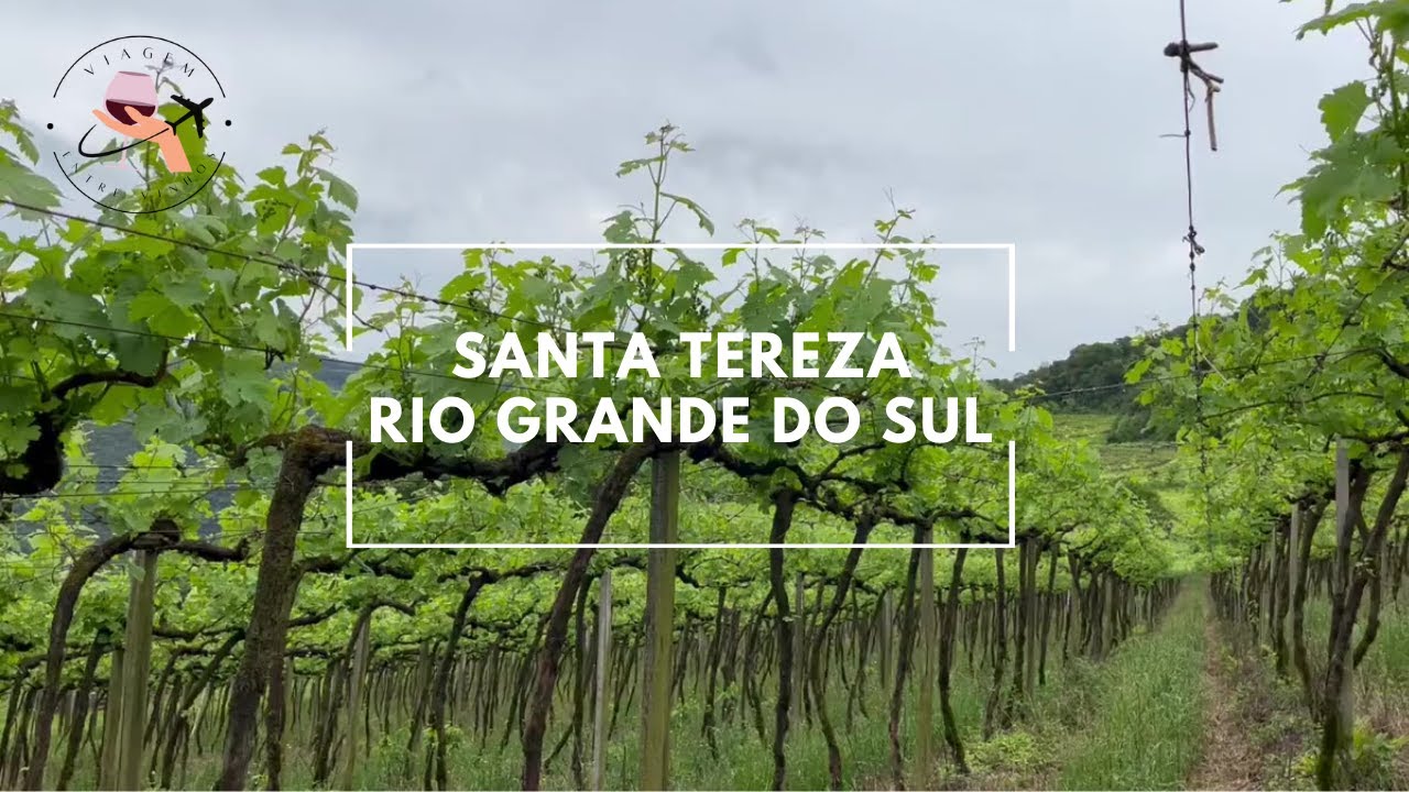 Vinícola Berra & Corbelini | Santa Tereza | Serra Gaúcha