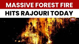 Jammu & Kashmir: Massive Blaze Hits Bathuni Eco Park During Extreme Heat | India Today
