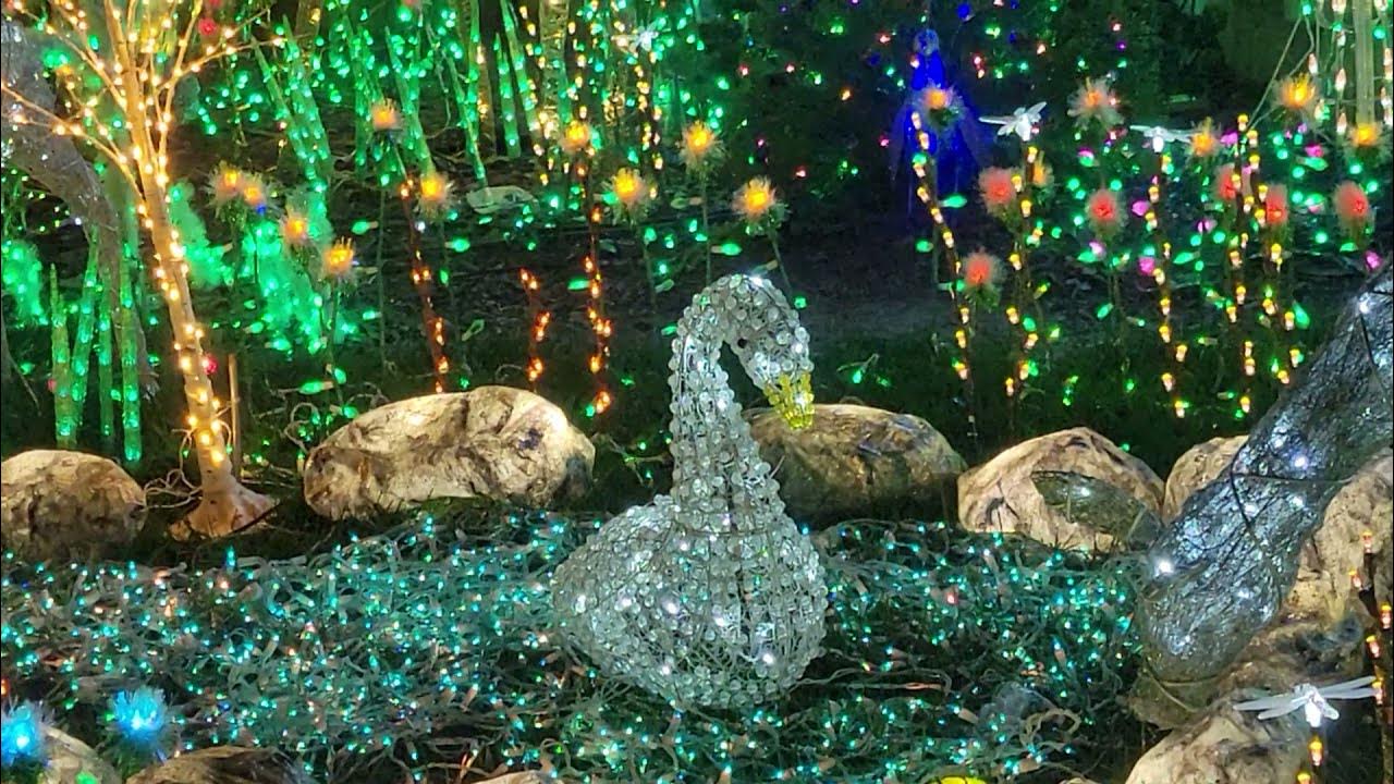 Quintero Family Winner of The Great Light Fight 2021 Peaceful Meadow