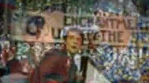 Doc and Marty McFly Tribute (BTTF)