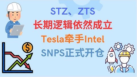 Tesla牵手Intel，SNPS 正式开仓！
